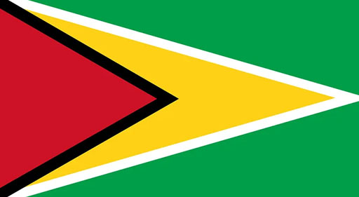 cargo-innovators-flags-guyana-copy.jpg