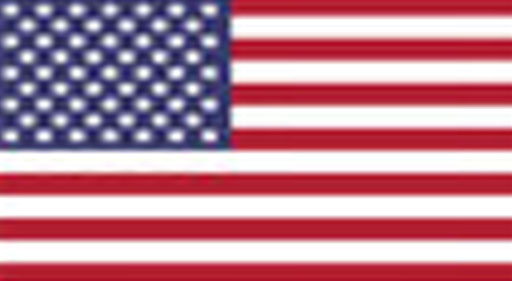 flag-usa-copy.jpg